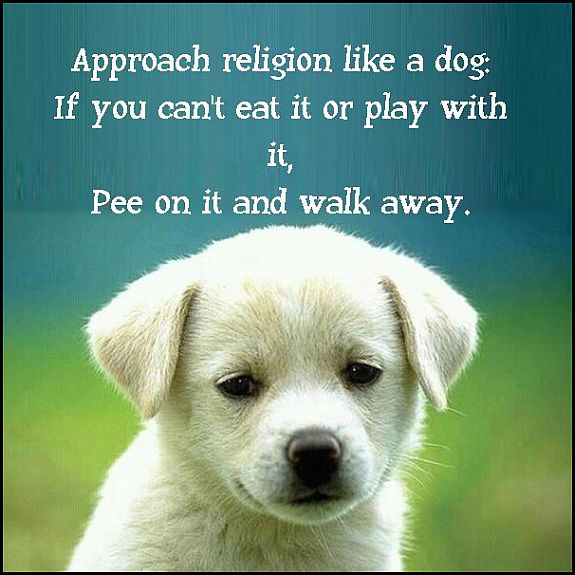 A dog's approach to religion? The Good Funeral Guide