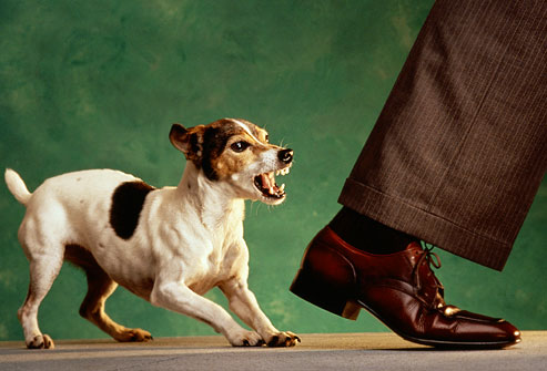 Stepbystep 24dialectical Behavioral Training Stepbystep 24dialectical Behavioral Training