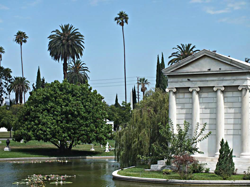 Movie night at the cemetery - The Good Funeral Guide