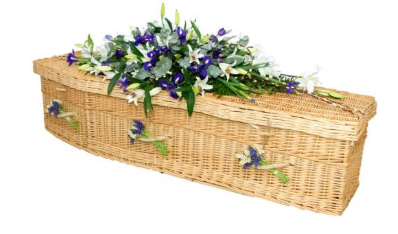Borca Traditional Willow Coffin